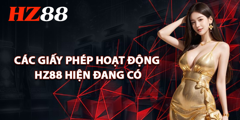 Các Giấy Phép Hoạt Động HZ88 Hiện Đang Có