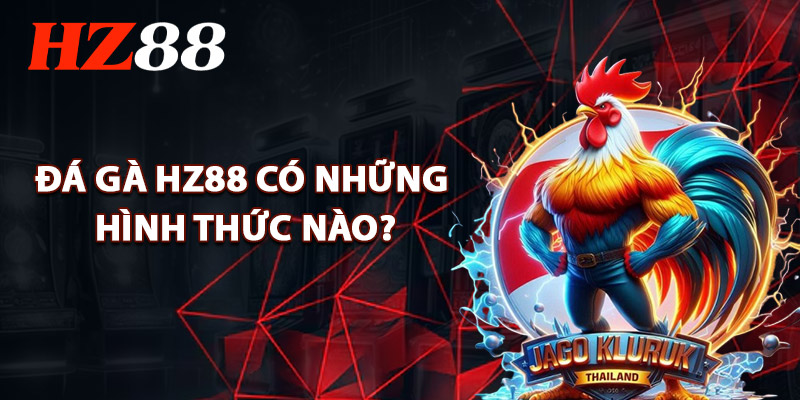 Đá Gà HZ88 Có Những Hình Thức Nào?