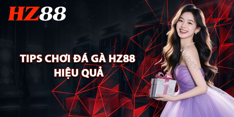 Tips Chơi Đá Gà HZ88 Hiệu Quả
